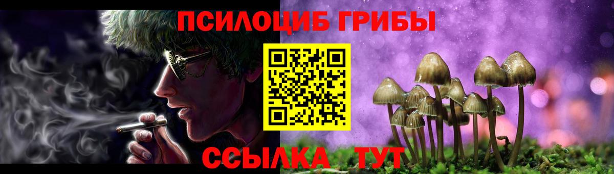 Сосновый Бор  Галлюциногенные грибы мицелий  Вход с VPN 